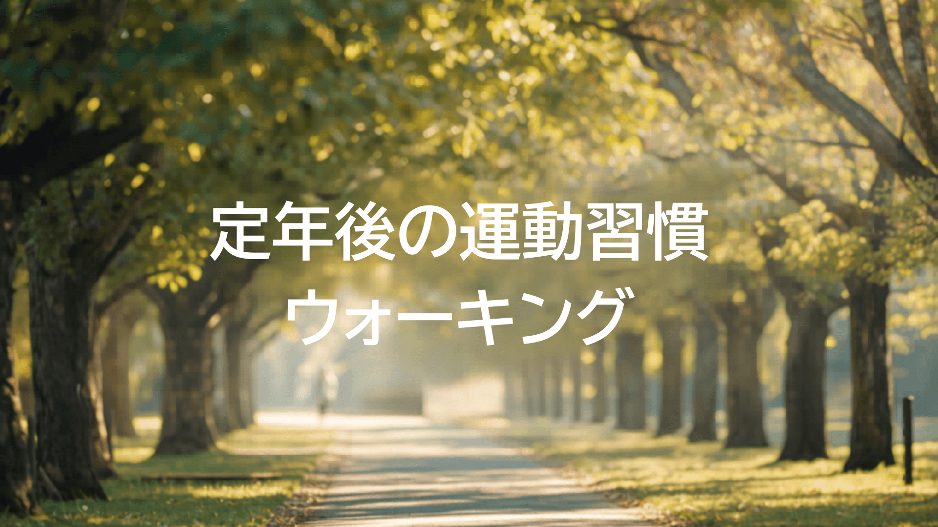 定年後に運動習慣がなくて不安ではありませんか？ウォーキングを毎日続けて気づいたこと【60代の実体験】