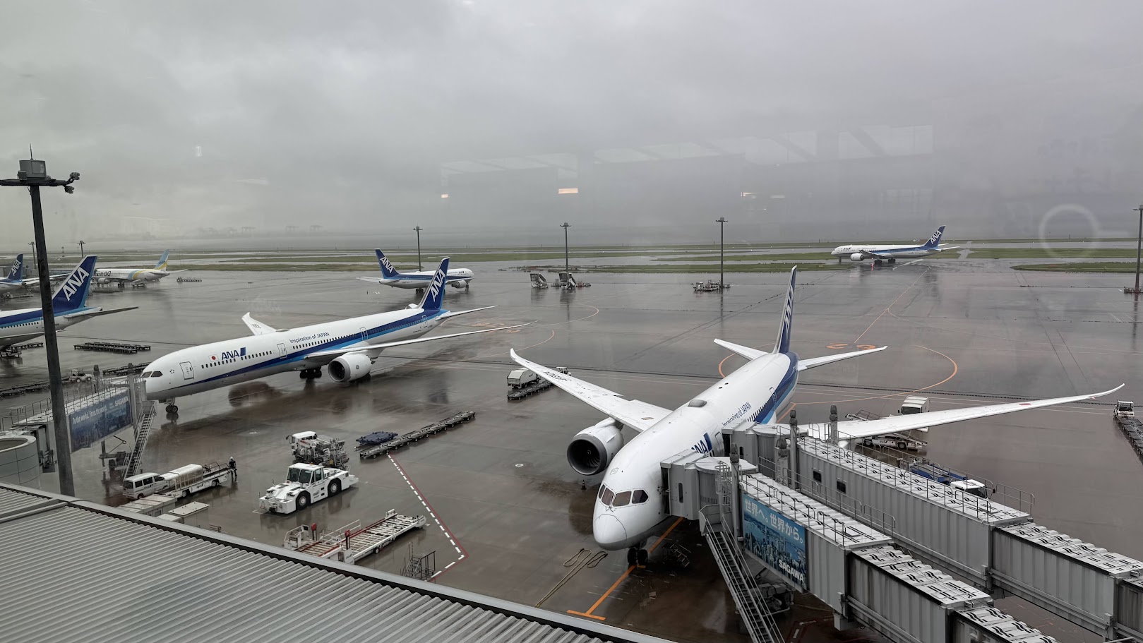 雨の羽田空港。展望デッキから見たANAの旅客機と、濡れた駐機場