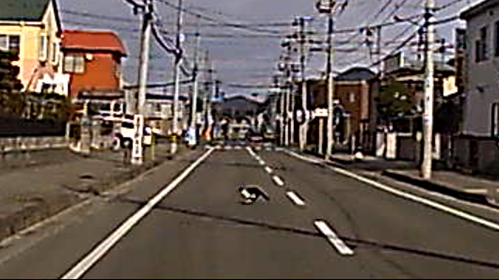 人けのない住宅街の道路を横切る一匹のネコ。ドライブレコーダーの映像